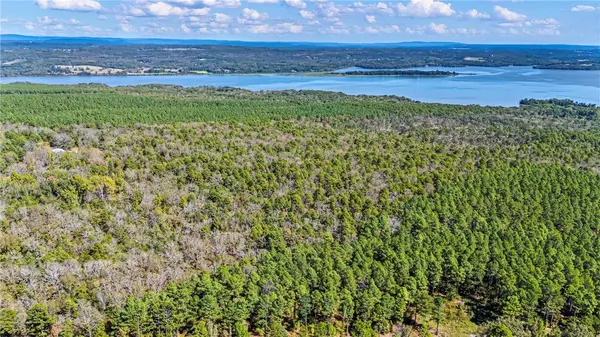 TBD RIVER MTN Rd, Delaware, AR 72835
