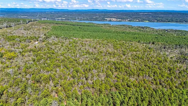 TBD RIVER MTN Rd, Delaware, AR 72835