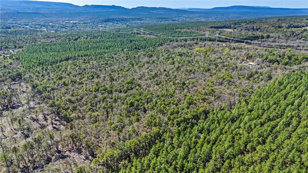 TBD RIVER MTN Rd, Delaware, AR 72835