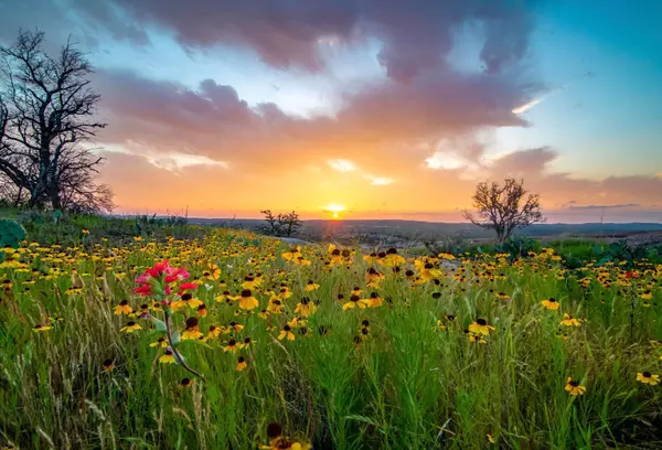 Republic of Texas Land & Home