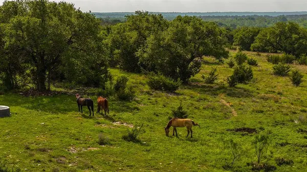TBD County Road 105, Hamilton, TX 76531