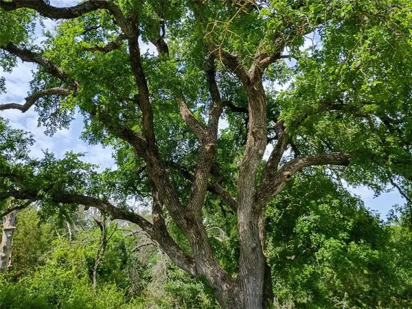 TBD PR 2901, Hamilton, TX 76531 - 14 Acres