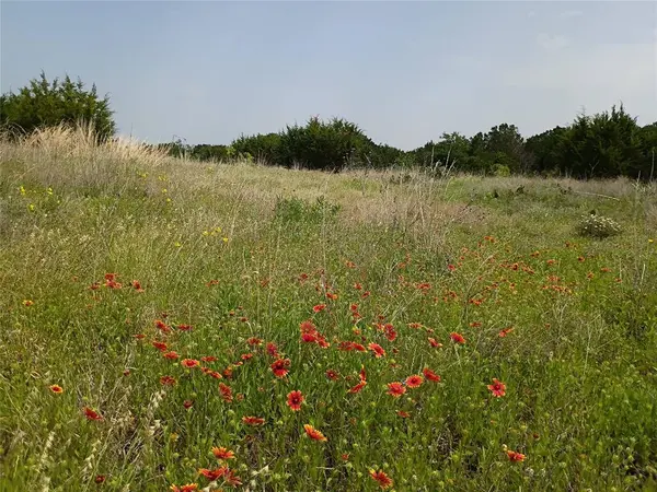 TBD PR 2901, Hamilton, TX 76531 - 14 Acres