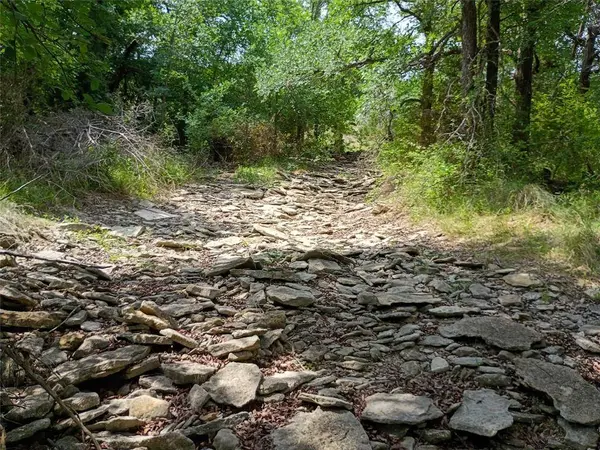 TBD PR 2901, Hamilton, TX 76531