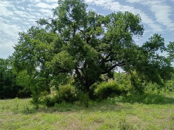 TBD PR 2901, Hamilton, TX 76531 - 14 Acres