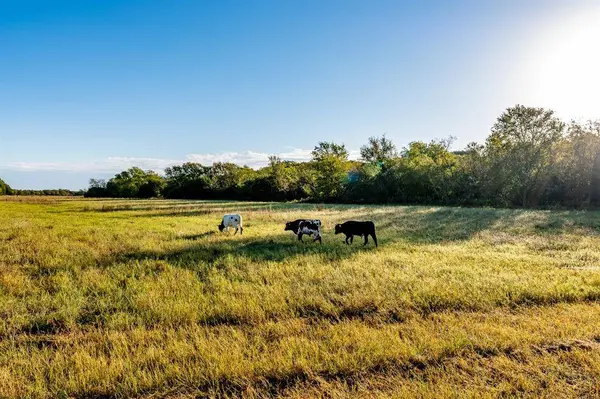 Ranch 28, County Road 208, Hico, TX 76457