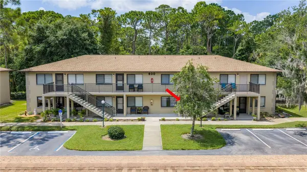 1601 BIG TREE RD #803