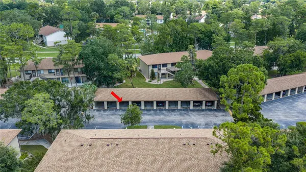 1601 BIG TREE RD #803, Daytona Beach, FL 32119