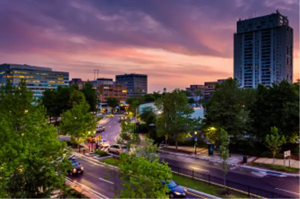 Towson’s Suburban Charm with Urban Flair,Ashley Ducre