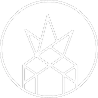 Real Broker, LLC