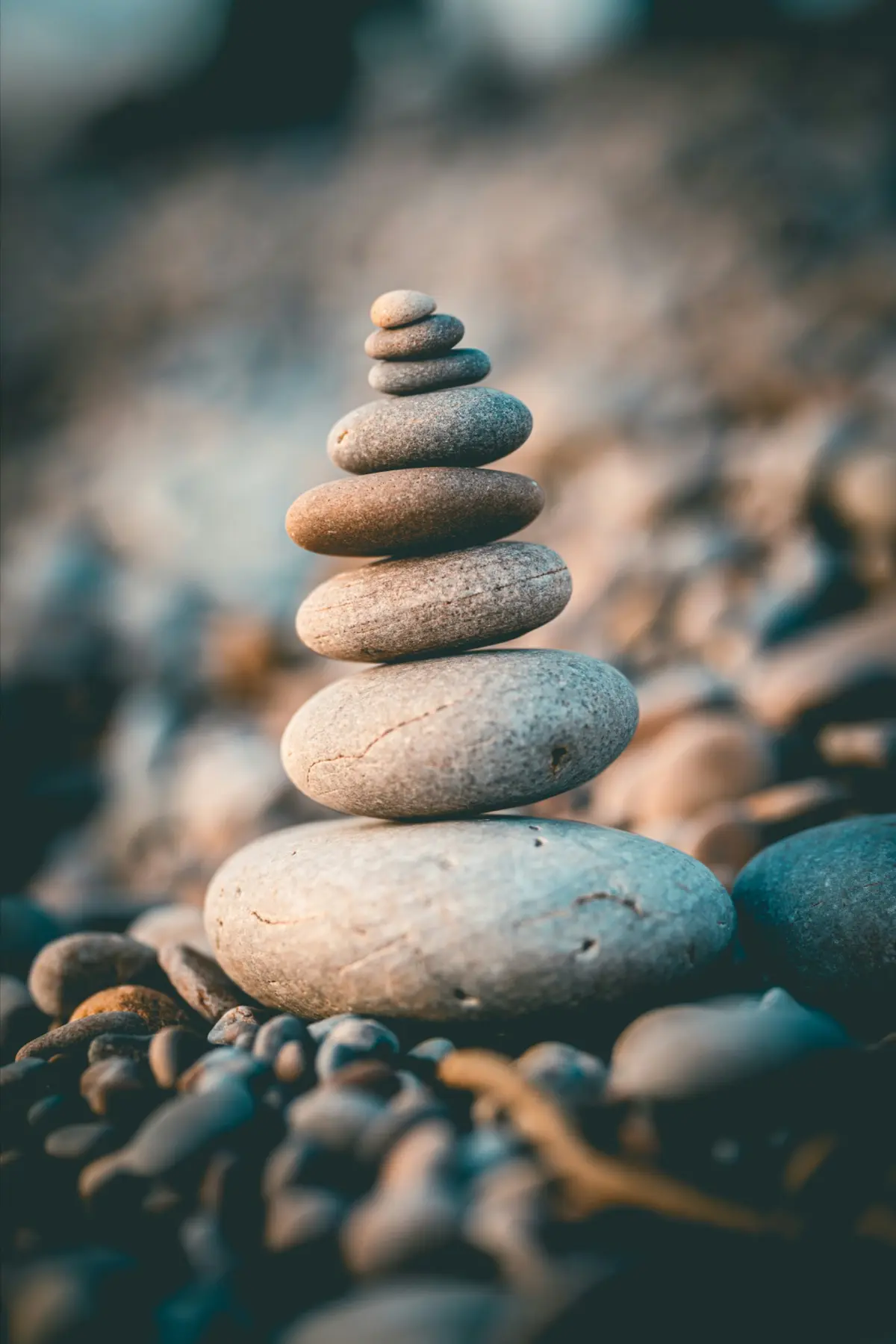 rob-wicks-wmTmWDuvQUg-unsplash