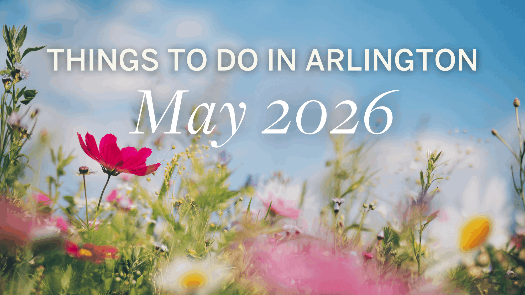 Things To Do In Arlington VA
