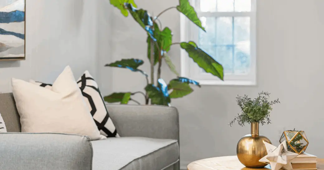 Best Realtors in Washington DC 2026 | YTD Market Update & Team Performance