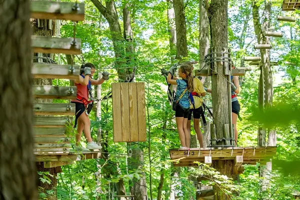 5 Things I Wish I Knew Before Moving Our Family to Northern Virginia