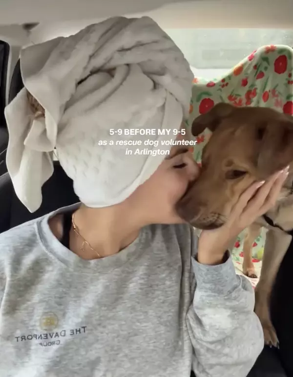 Dogs Day Out with Lucky Dog Rescue in Arlington, VA: Meet Ducki