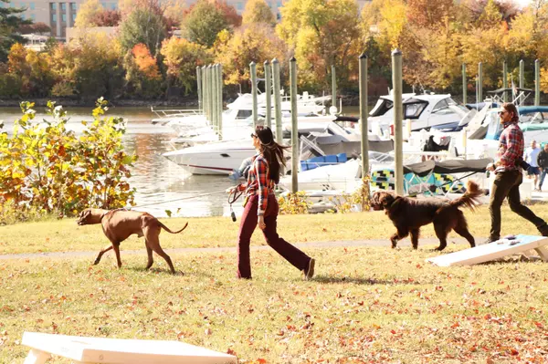 Hidden Gem: Columbia Island Marina — Arlington’s Best Kept Secret on the Water