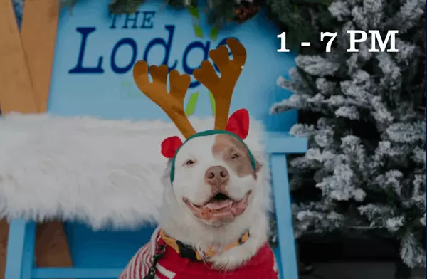 The Lodge @ National Landing | DEC 6