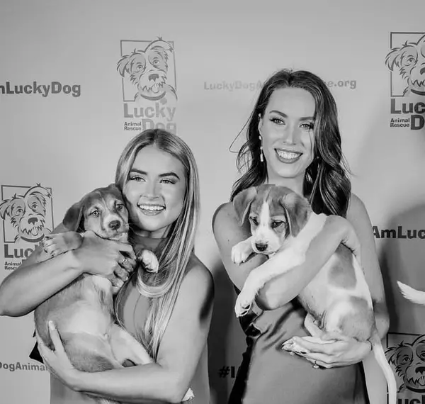 Lucky Dog Animal Rescue’s 12th Annual Casino Night Raised More Than 160000 for At Risk Animals,The Davenport Group
