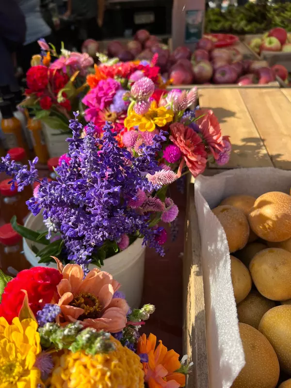 10 Best Farmers Markets in Arlington, VA to Visit This Summer,Discover Arlington 