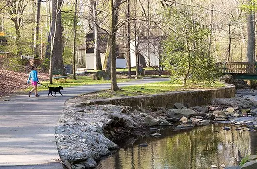 Best Fall Hikes and Waterfront Walks in Arlington, VA