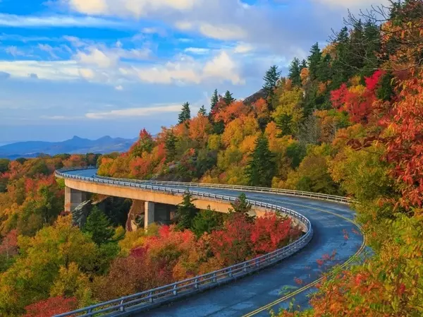 Weekend Leaf Peeping Loop: Skyline Drive to the Potomac from Arlington, VA