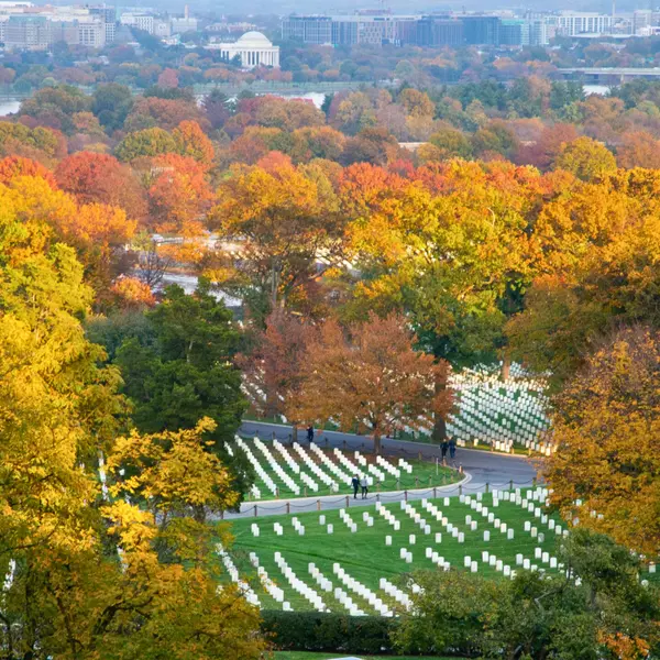 Arlington, VA Fall Weather: Temperatures, Rain, Foliage, and First Frost
