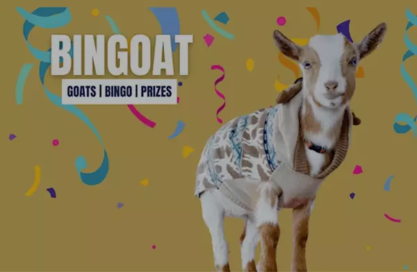 BINGOAT: Goats, Bingo, Prizes | Jan 9