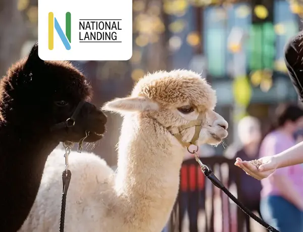 Alpaca Happy Hour | Every Thursday in April starting on 4/2