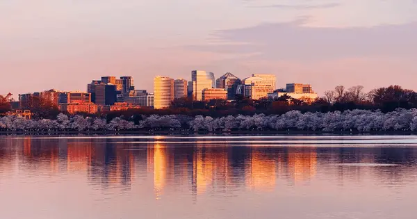 What It Is Actually Like to Live in North Arlington: A Local Guide to the 6 Best Neighborhoods (2026)