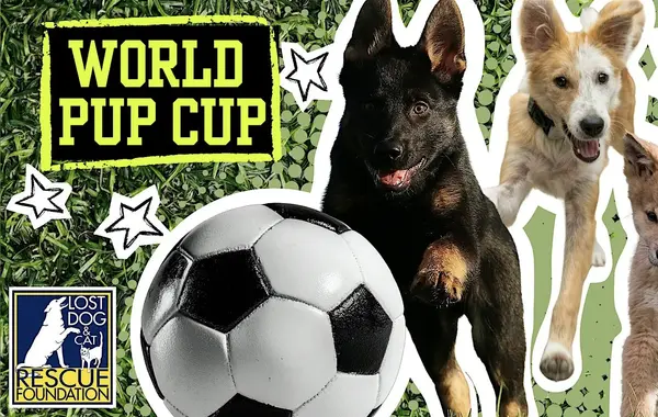 World Pup Cup | June 28