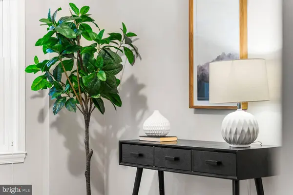 4931 7TH RD S #4931, Arlington, VA 22204