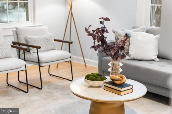 1100 S BARTON ST #295, Arlington, VA 22204