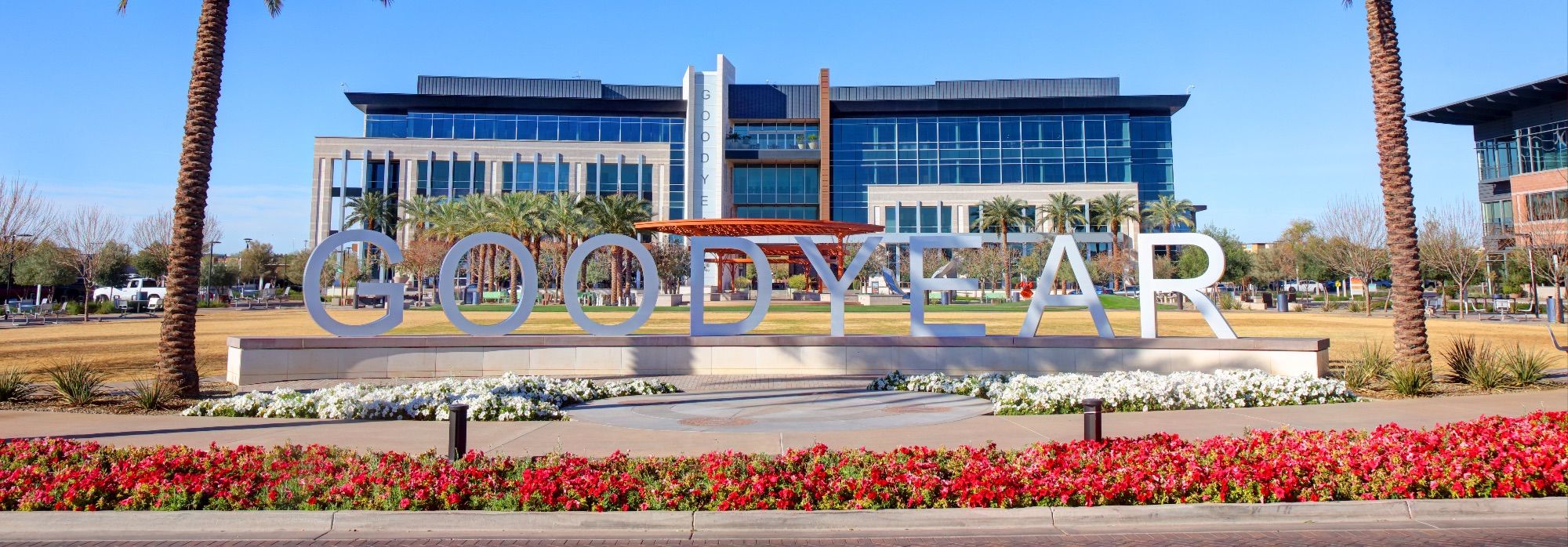 Goodyear Arizona iStock-2200069245