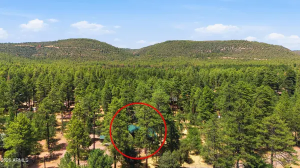 5111 N FOSSIL CREEK Lane, Pine, AZ 85544