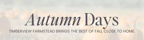 Fall Focus: Timberview Farmstead Pumpkin Patch