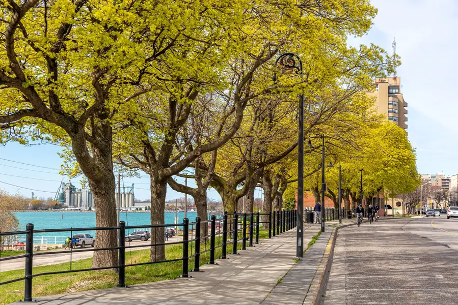 Sarnia