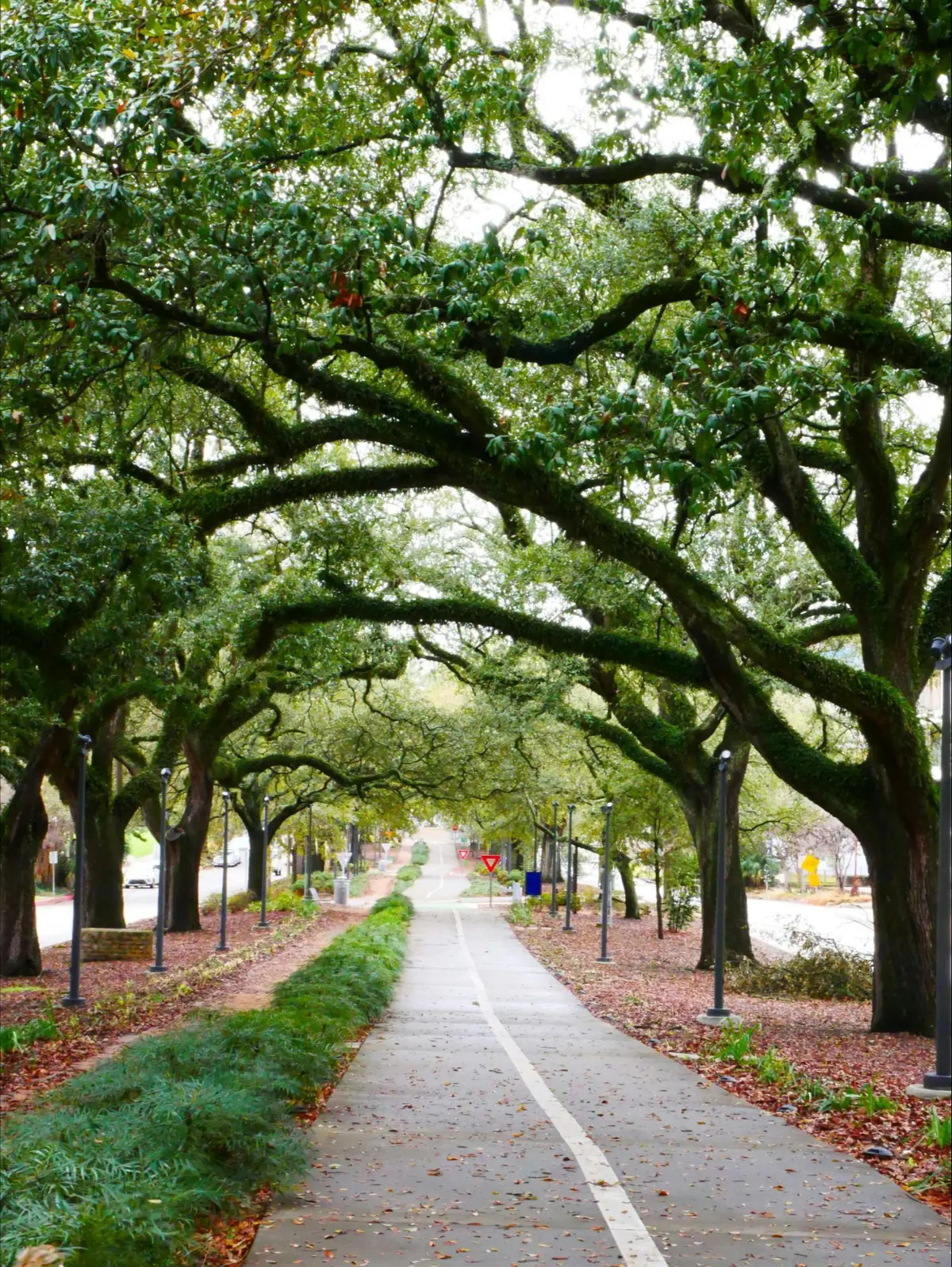 pexels-stephen-hardy-32566714-7020111 (1)