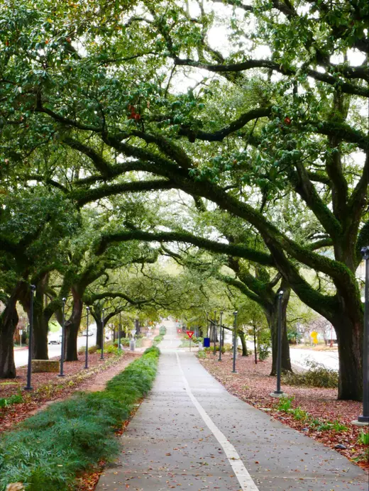 pexels-stephen-hardy-32566714-7020111 (1)