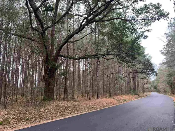 Lot 14 La Hwy 16, Denham Springs, LA 70706