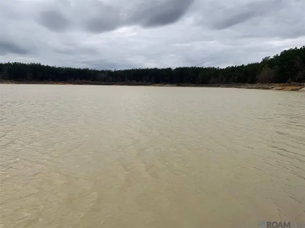 Lot 15 Nesom Rd, Denham Springs, LA 70706