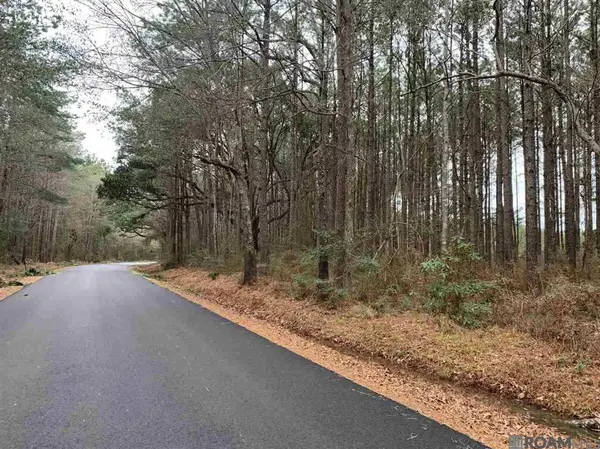 Lot 15 Nesom Rd, Denham Springs, LA 70706