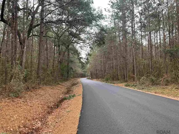 Lot 15 Nesom Rd, Denham Springs, LA 70706