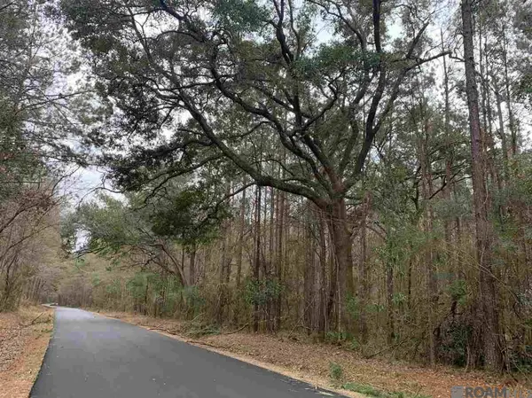Lot 15 Nesom Rd, Denham Springs, LA 70706
