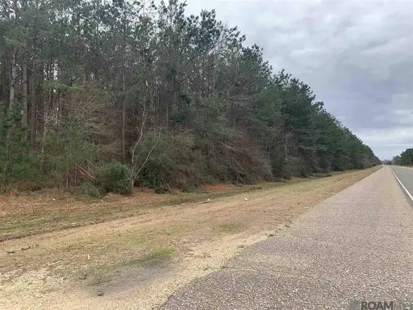 Lot 15 Nesom Rd, Denham Springs, LA 70706