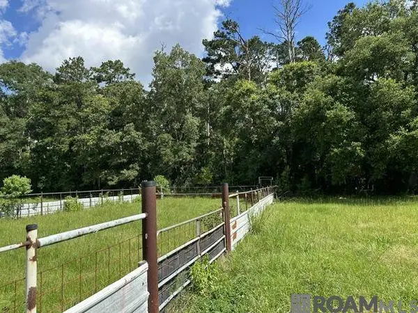 17198 Cannon Rd, Livingston, LA 70754