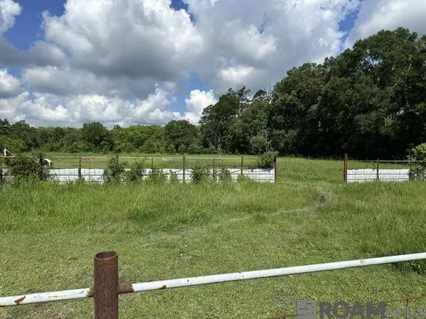17198 Cannon Rd, Livingston, LA 70754