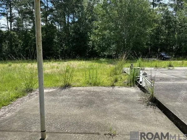 17198 Cannon Rd, Livingston, LA 70754