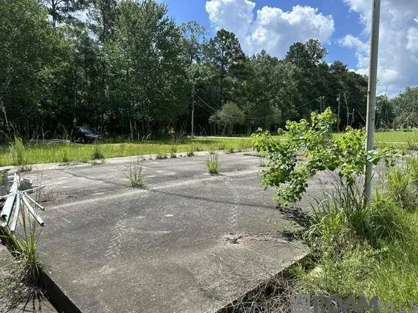 17198 Cannon Rd, Livingston, LA 70754