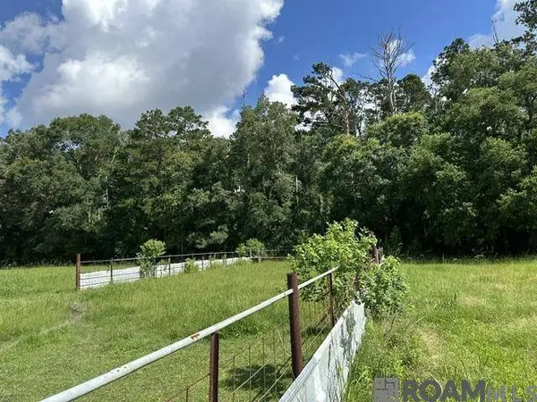 17198 Cannon Rd, Livingston, LA 70754