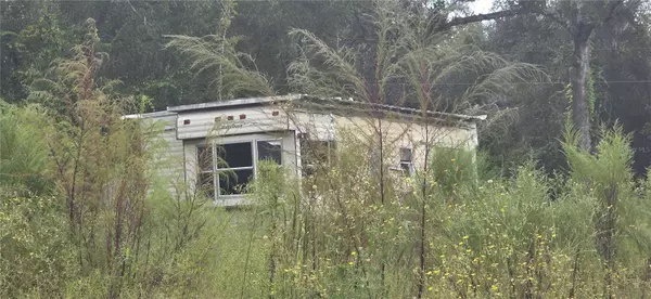 TBD NE 190TH LN, Fort Mc Coy, FL 32134